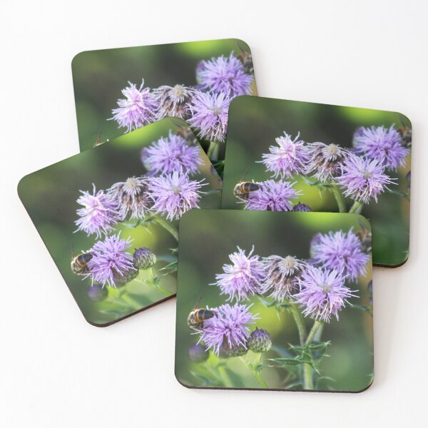 Item preview, Thistles and Bees designed and sold by Alyce Taylor.