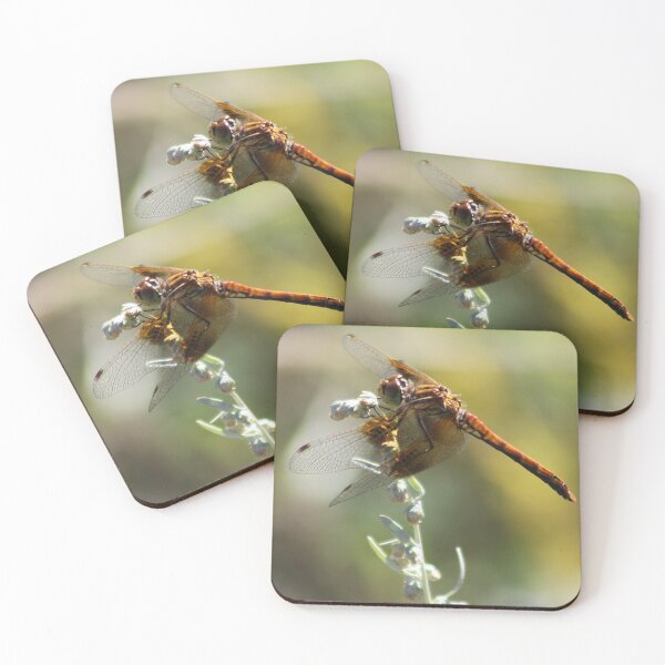 Item preview, Dragonfly designed and sold by Alyce Taylor.