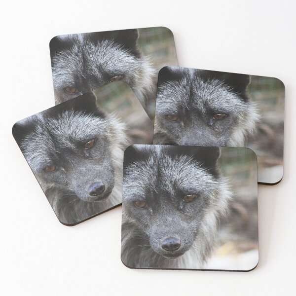 Item preview, Silver Fox designed and sold by Alyce Taylor.