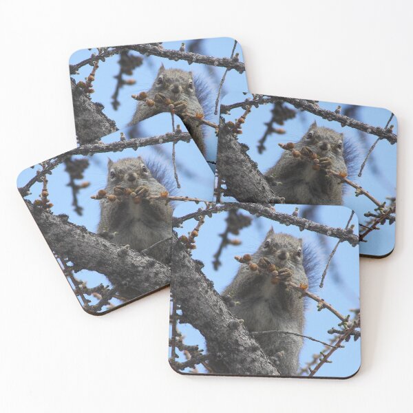Item preview, Pine Nuts designed and sold by Alyce Taylor.