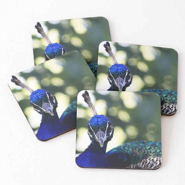 Item preview, Beautiful Peacock designed and sold by Alyce Taylor.