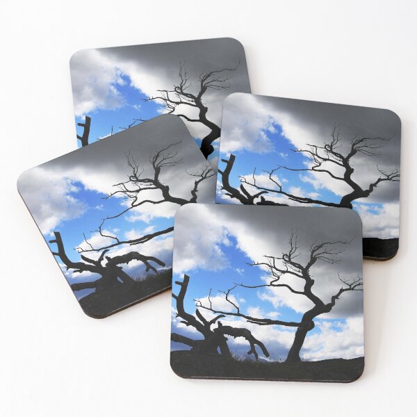 Item preview, Tara designed and sold by Alyce Taylor.