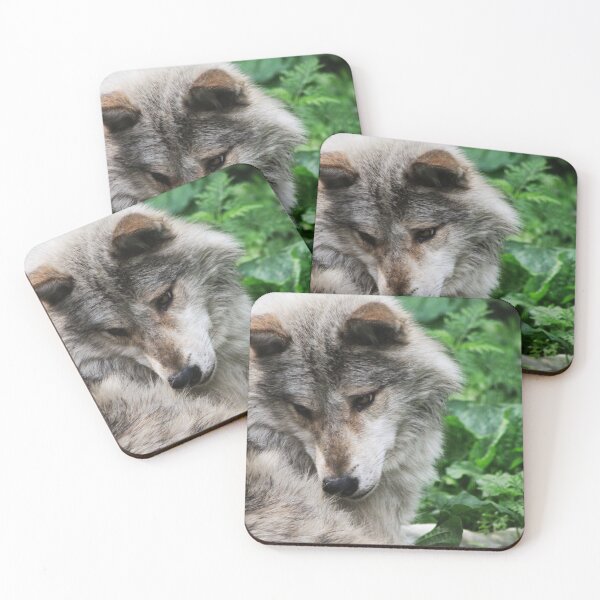 Item preview, Being Coy designed and sold by Alyce Taylor.