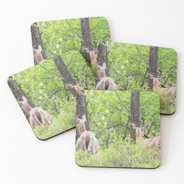 Item preview, Don't Turn Around designed and sold by Alyce Taylor.