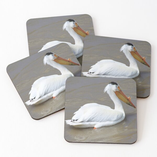 Item preview, Pelecanus Erythrorhynchos designed and sold by Alyce Taylor.