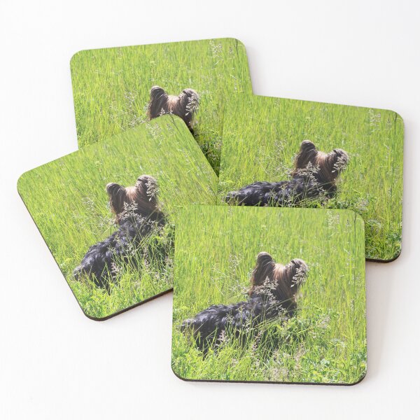 Item preview, Looking for Rabbits designed and sold by Alyce Taylor.