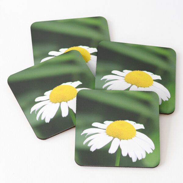 Item preview, There's A Fly On My Daisy designed and sold by Alyce Taylor.