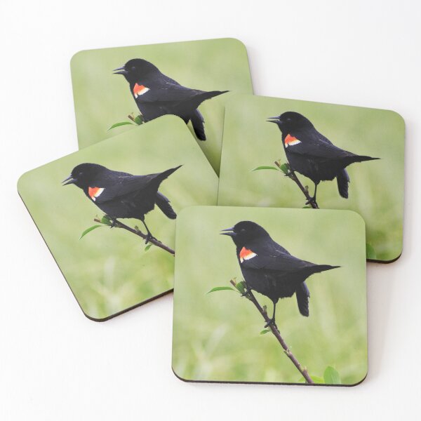 Item preview, Red Winged Blackbird designed and sold by Alyce Taylor.