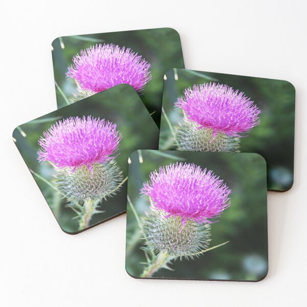Item preview, Bull Thistle designed and sold by Alyce Taylor.