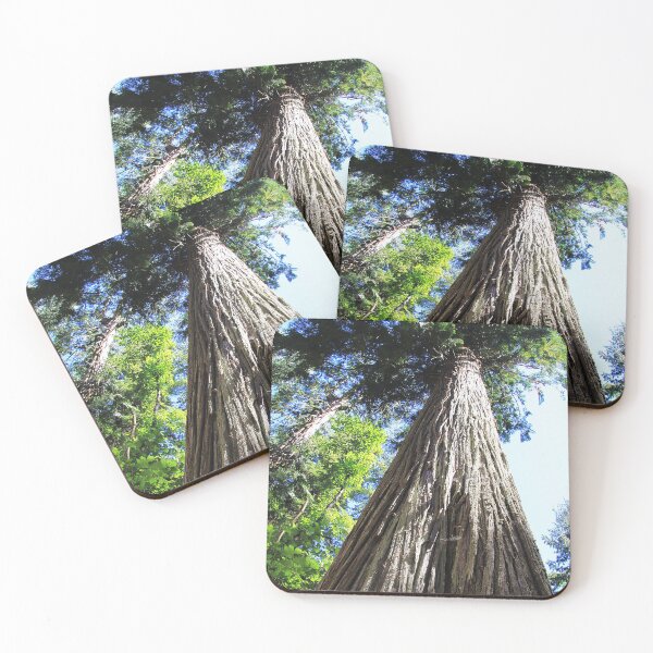 Item preview, Douglas Fir designed and sold by Alyce Taylor.
