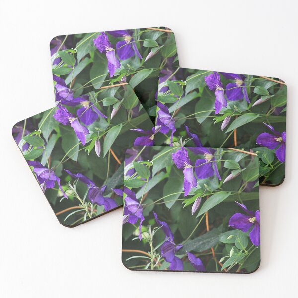 Item preview, Clematis designed and sold by Alyce Taylor.