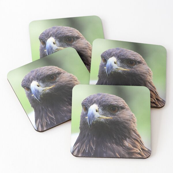 Item preview, Golden Eagle designed and sold by Alyce Taylor.