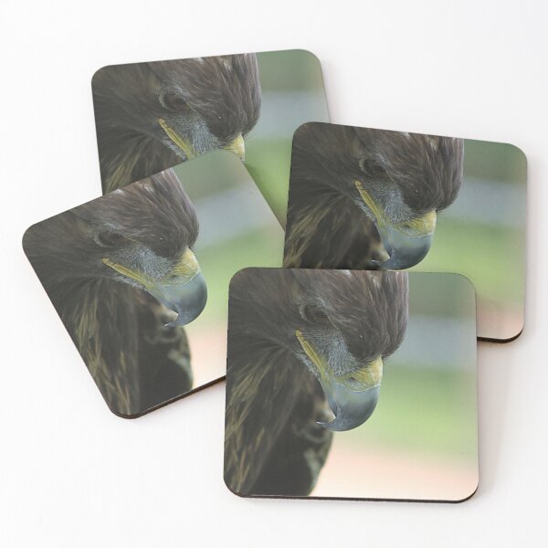 Item preview, Golden Eagle designed and sold by Alyce Taylor.