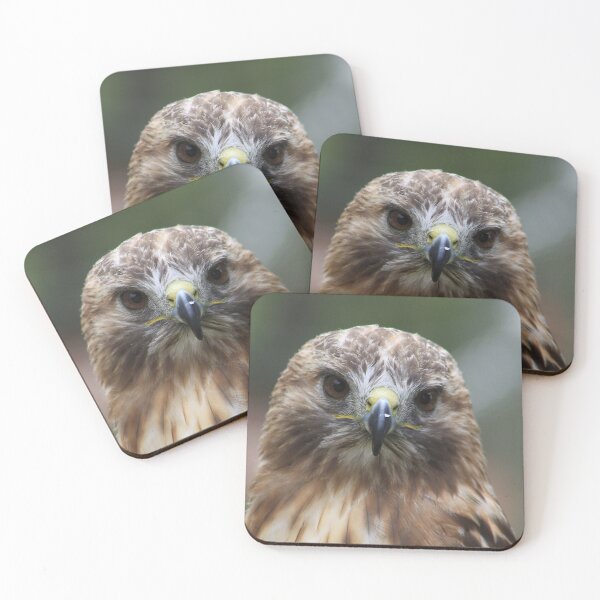 Item preview, Red-Tailed Hawk designed and sold by Alyce Taylor.