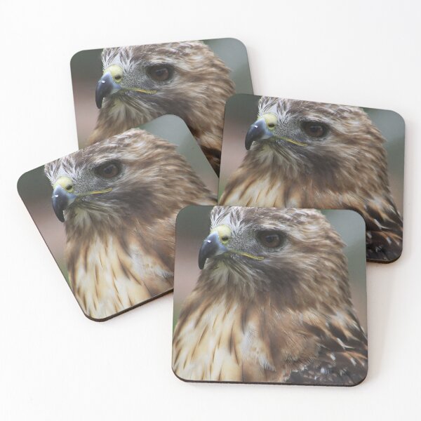 Item preview, Red-Tailed Hawk  designed and sold by Alyce Taylor.