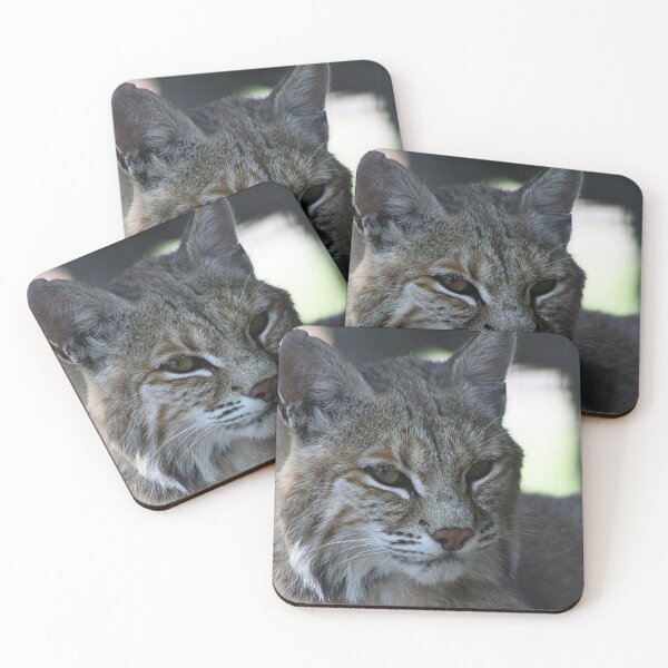 Item preview, Nice Kitty designed and sold by Alyce Taylor.