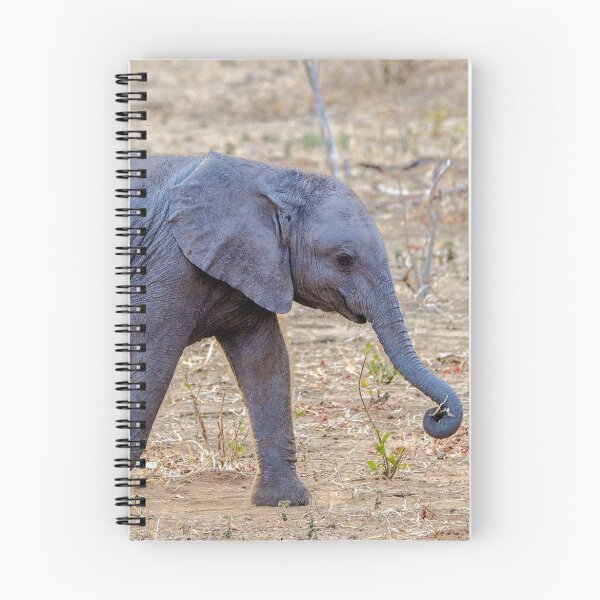 Item preview, Follow the Leader designed and sold by Jensphotos.