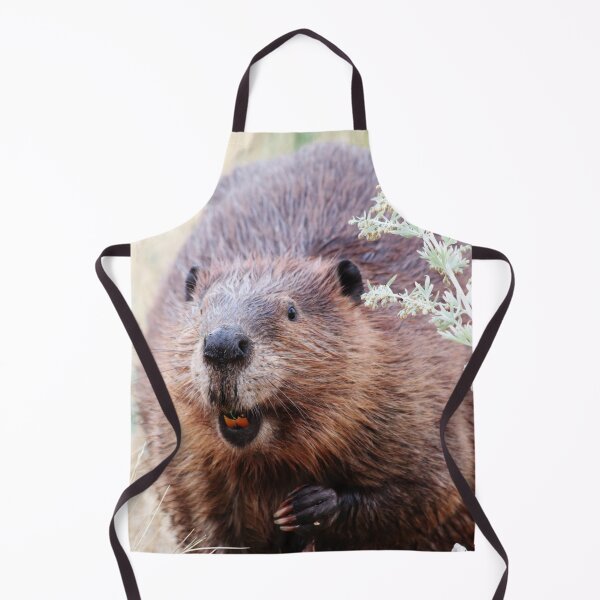 Item preview, Canadian Beaver designed and sold by Alyce Taylor.