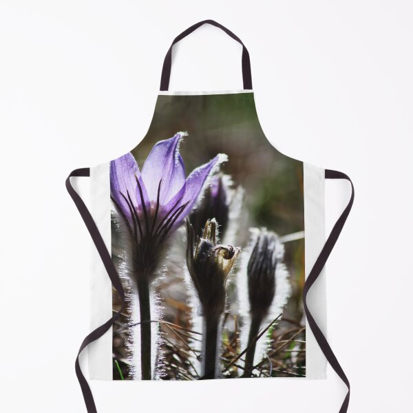 Item preview, Backlit Croci designed and sold by Alyce Taylor.