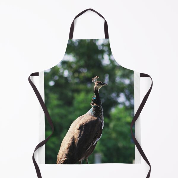 Item preview, Regal designed and sold by Alyce Taylor.