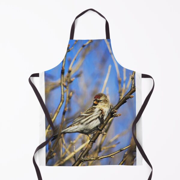 Item preview, Common Redpoll Female designed and sold by Alyce Taylor.