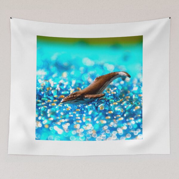 Item preview, dolphin photo with high resolution quality designed and sold by Allyouneed-2.