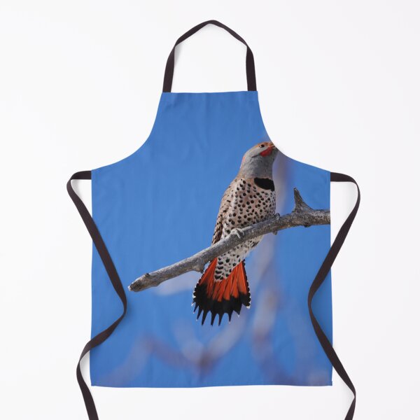 Item preview, Male Red Shafted Northern Flicker designed and sold by Alyce Taylor.