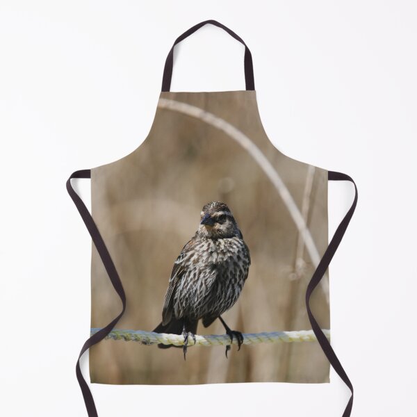 Item preview, Female Red Winged Blackbird designed and sold by Alyce Taylor.