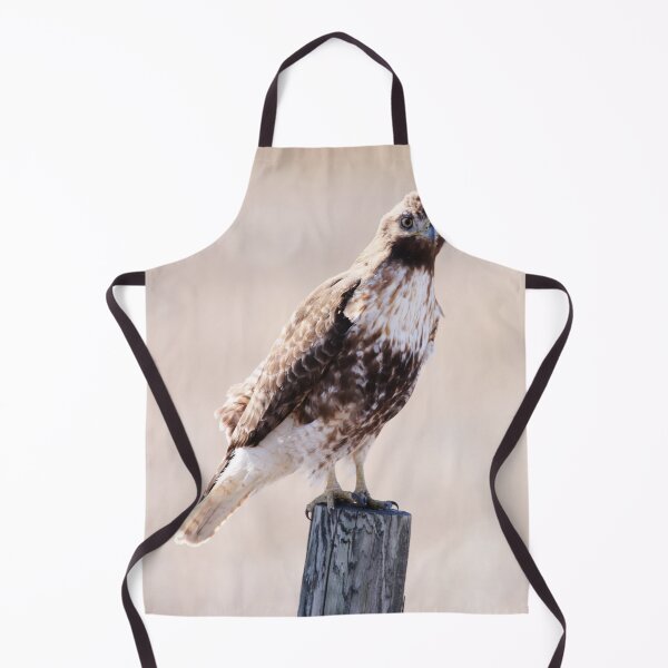 Item preview, Immature Red Tailed Hawk designed and sold by Alyce Taylor.