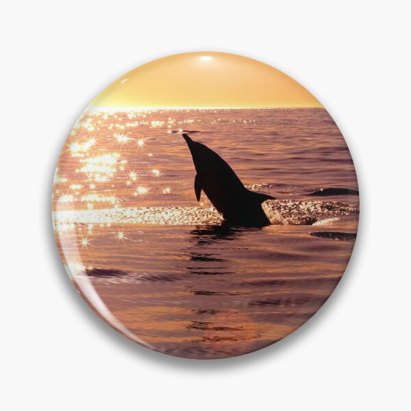 Item preview, dolphin photo with high resolution quality designed and sold by Allyouneed-2.