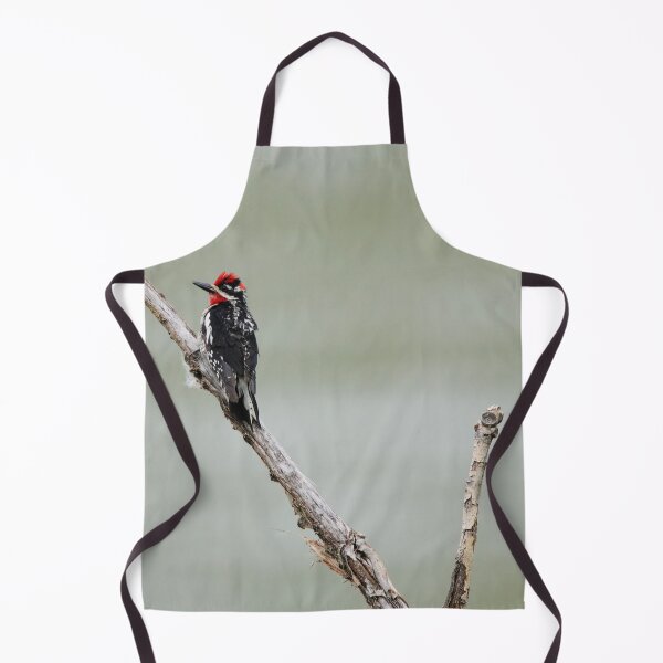 Item preview, Red Naped Sapsucker designed and sold by Alyce Taylor.
