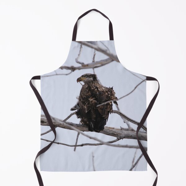 Item preview, Juvenile Bald Eagle designed and sold by Alyce Taylor.