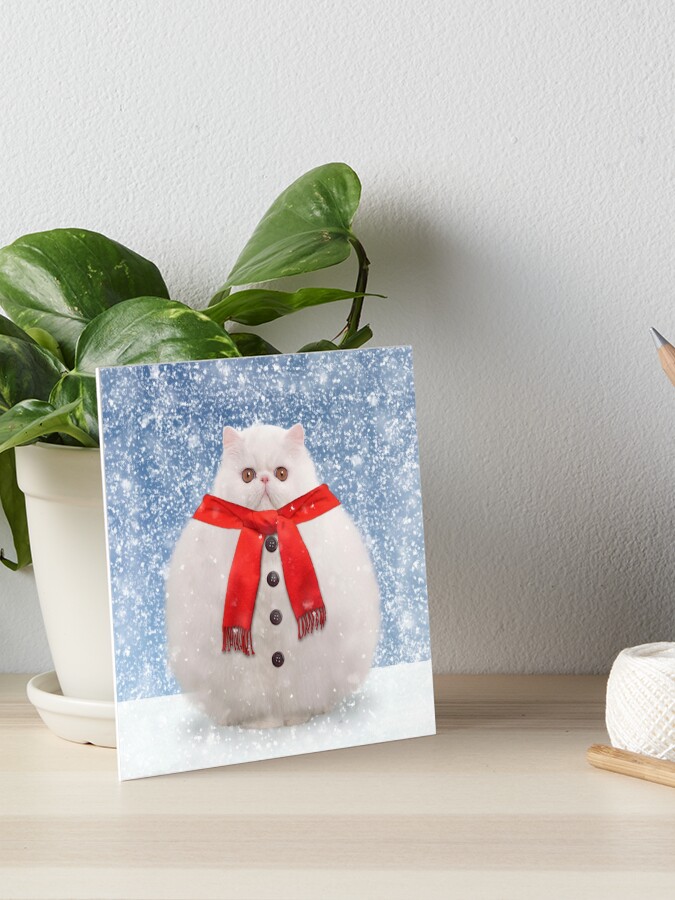 Bonhomme De Neige Et Chat Des Neiges Mignon Chat Bonhomme De Neige Illustration Gm1445078822 483595405