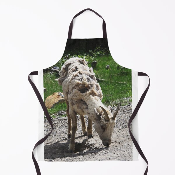 Item preview, Scruffy Bighorn designed and sold by Alyce Taylor.