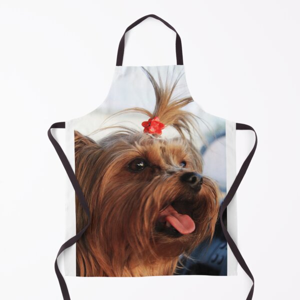 Item preview, Ms. Lucy designed and sold by Alyce Taylor.