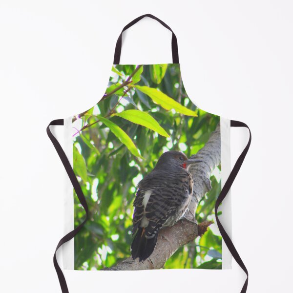 Item preview, Male Red-shafted Flicker designed and sold by Alyce Taylor.