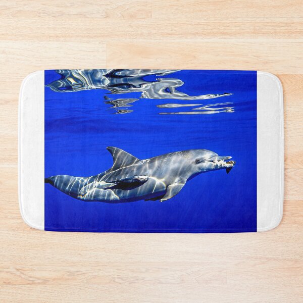 Item preview, dolphin photo with high resolution quality designed and sold by Allyouneed-2.