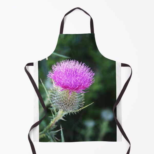 Aperçu de l'œuvre Bull Thistle créée et vendue par Alyce Taylor.