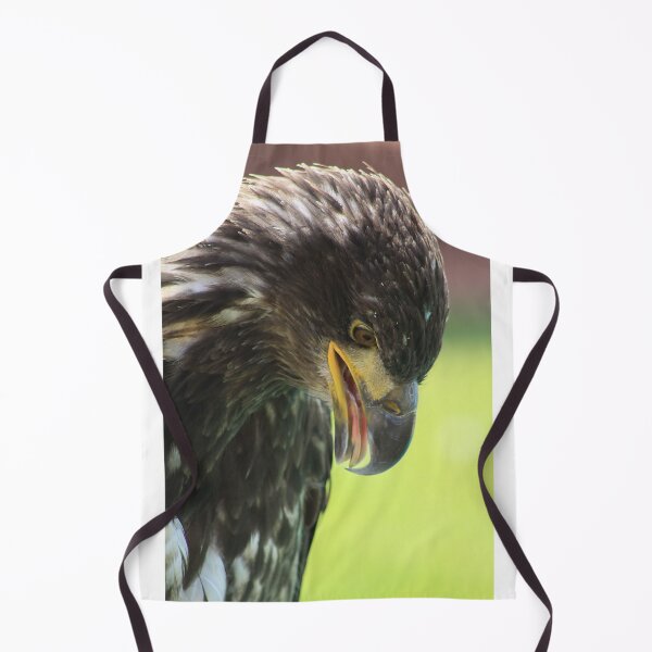 Item preview, Juvenile Bald Eagle designed and sold by Alyce Taylor.