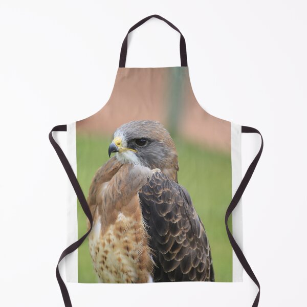 Item preview, Swainsons Hawk designed and sold by Alyce Taylor.