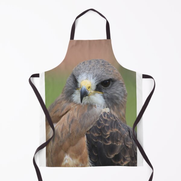 Item preview, Swainsons Hawk designed and sold by Alyce Taylor.