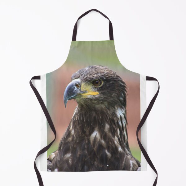 Item preview, Juvenile Bald Eagle designed and sold by Alyce Taylor.