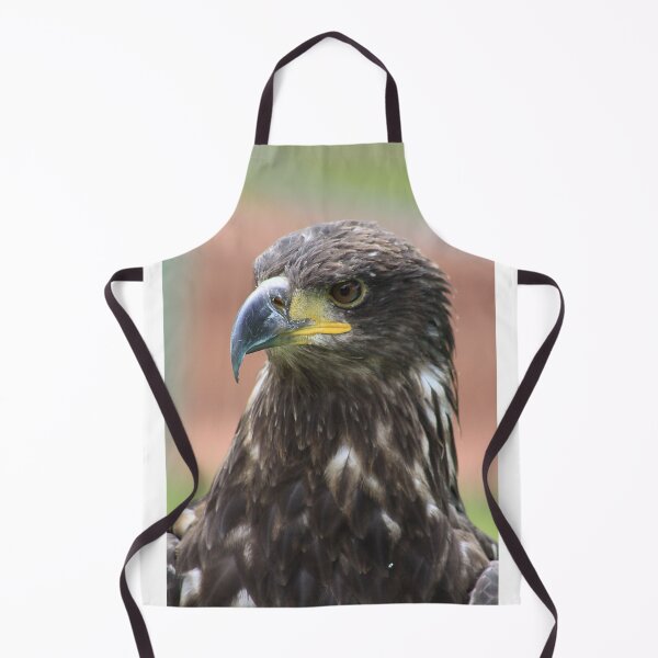 Item preview, Juvenile Bald Eagle designed and sold by Alyce Taylor.