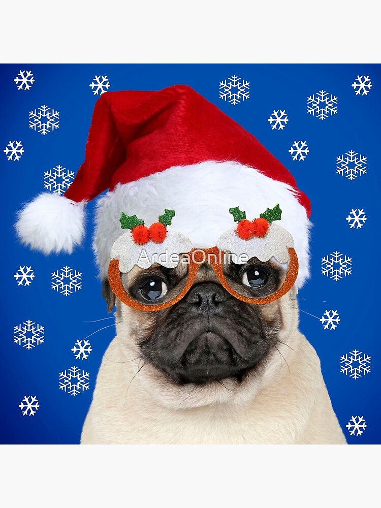 pug wearing christmas hat