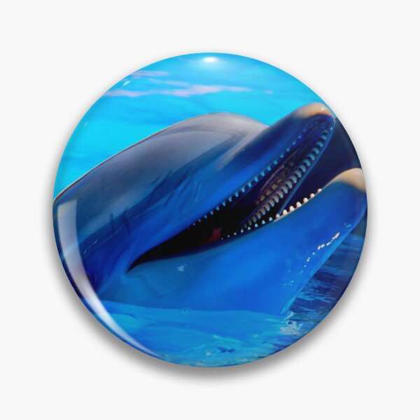 Item preview, dolphin photo with high resolution quality designed and sold by Allyouneed-2.