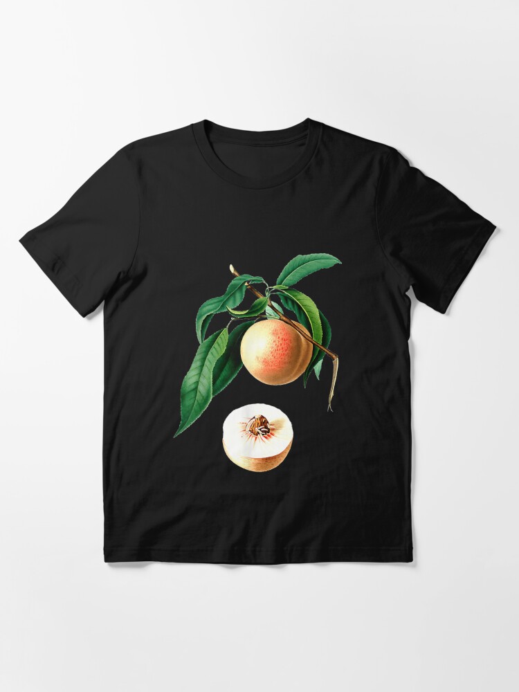 Persimmons Fruits Vintage Fruit Art Prints Botanical T Shirt For Sale By 9danita Redbubble 0686