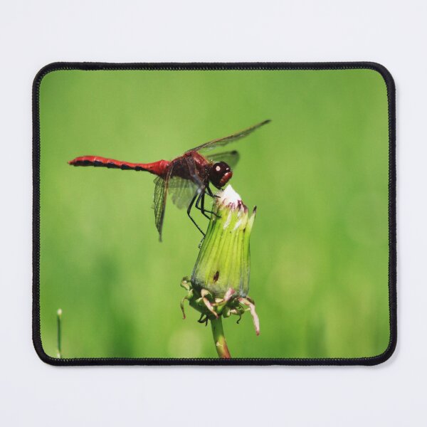 Item preview, Dragonfly designed and sold by Alyce Taylor.