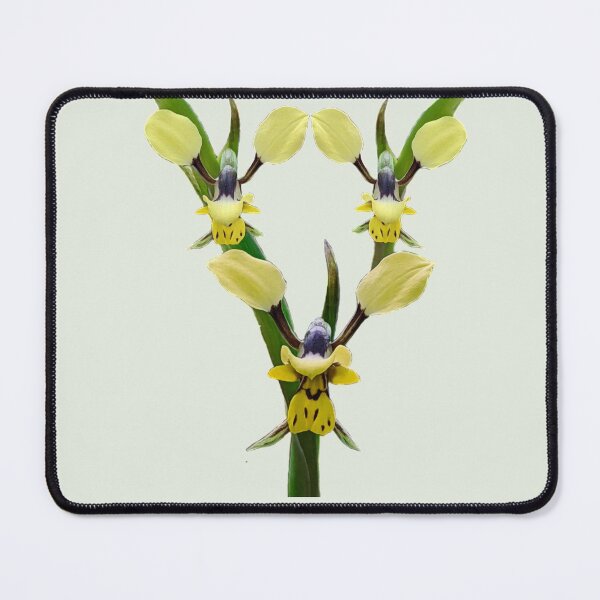 Item preview, Yellow Donkey Orchid Trio designed and sold by Anne-Maree Hunter.