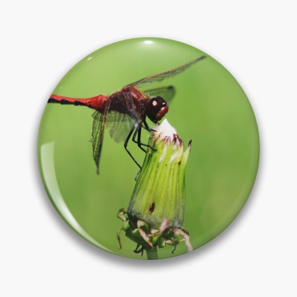 Item preview, Dragonfly designed and sold by Alyce Taylor.