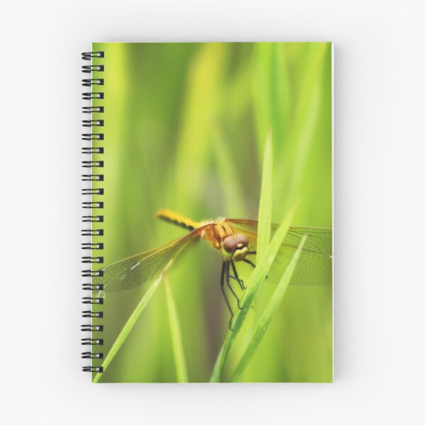 Item preview, Dragonfly designed and sold by Alyce Taylor.